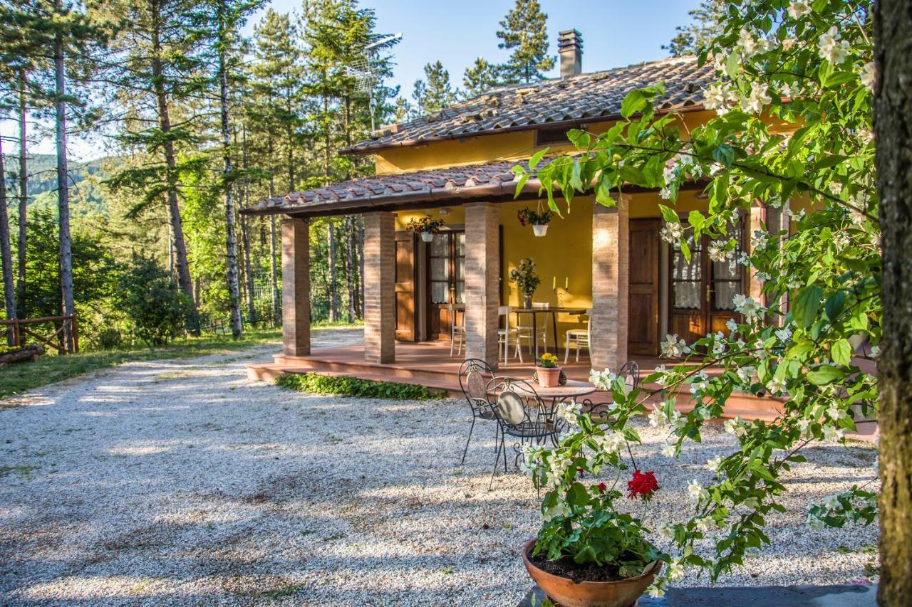 Il Ginepro Villa Cortona Exterior photo
