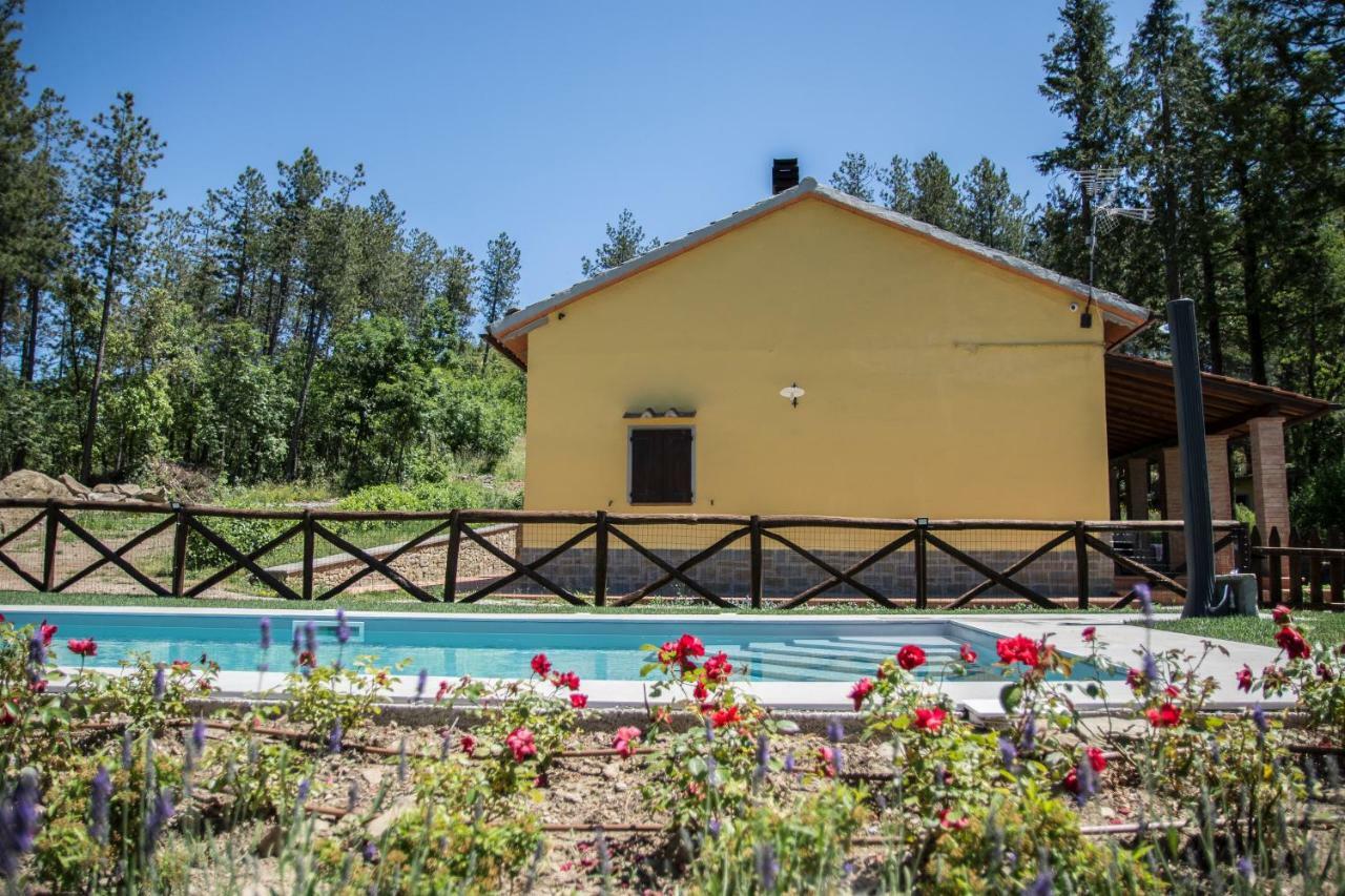Il Ginepro Villa Cortona Exterior photo